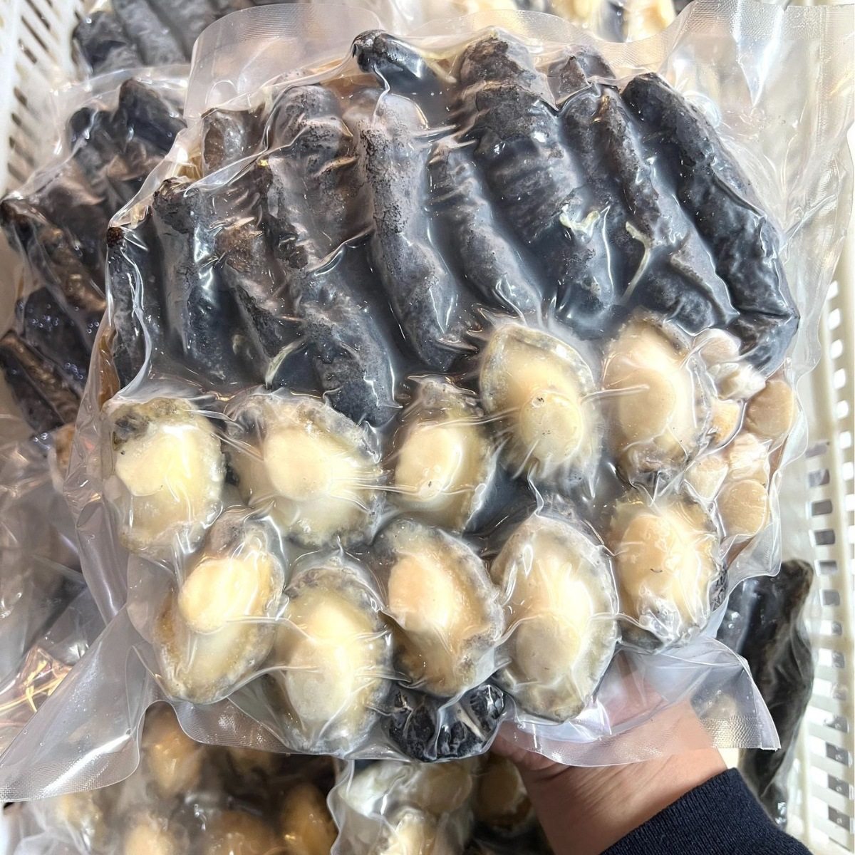 Factory direct supply instant Buddha jump wall wholesale 10 people abalone juice large pot dish gift box sea cucumber abalone heated instant