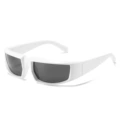 Regular (including 13% special ticket) white frame all gray film