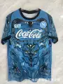 25.26 napoli training uniform sky blue
