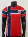 Player, 2627 norway home jersey