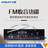 Ak-906Bt Audiophile-Grade Bluetooth Amplifier Bluetooth Hifi Card-Insert Radio Square Audio Amplifier