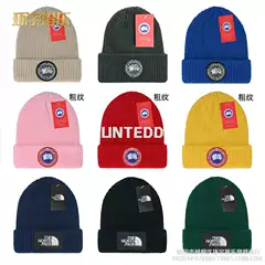 Wool hat cross-border women's winter big head circumference autumn and winter outdoor embroidery warm pullover foreign trade knitted hat men's cold hat