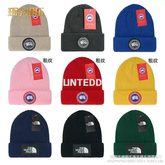 Wool hat cross-border women's winter big head circumference autumn and winter outdoor embroidery warm pullover foreign trade knitted hat men's cold hat