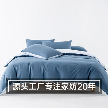 Scandinavian Simple Pure Color Bedding Four-Piece Set Cross-Border Quilt Cover Home Textile Bed Sheet Foreign Trade Bedding Three-Piece Set Customization