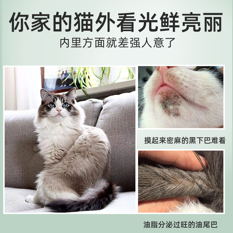 雪貂留香猫多爱猫咪去油膏100g猫咪沐浴露毛发护理去黑下巴油尾巴