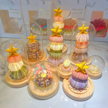 New Year and Spring Festival Ornaments Shell DIY Sea Urchin Shell Luminous Night Light Material Package Birthday Gift for Girlfriend