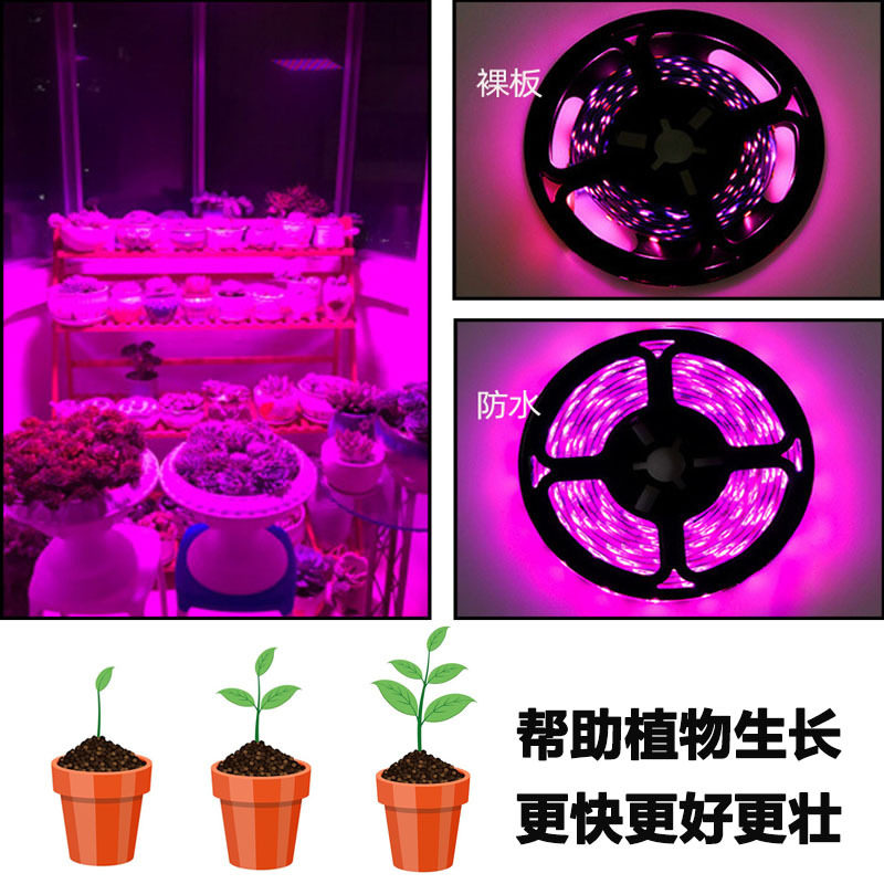 USB 5V Plant Growth Light with 2835 Full Spectrum Waterproof LED Vegetable Flower Fleshy Light Cross-border Heat