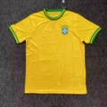 Brazilian fans 10
