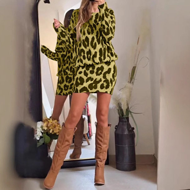 Summer Womens Fashion Leopard Print Long Sleeve Dress Set Stylish Versatile Comfortable Perfect for Casual Outings