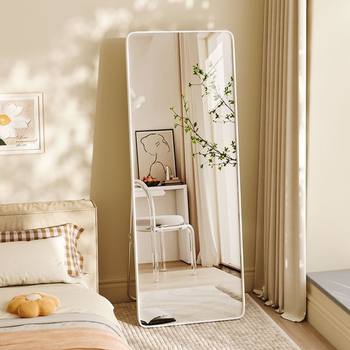 Full-Length Dressing Mirror, Floor-Standing Mirror, Home Wall-Mounted Fitting Mirror, Girls' Bedroom, Three-Dimensional Mirror, Wall-Mounted Trendy Mirror