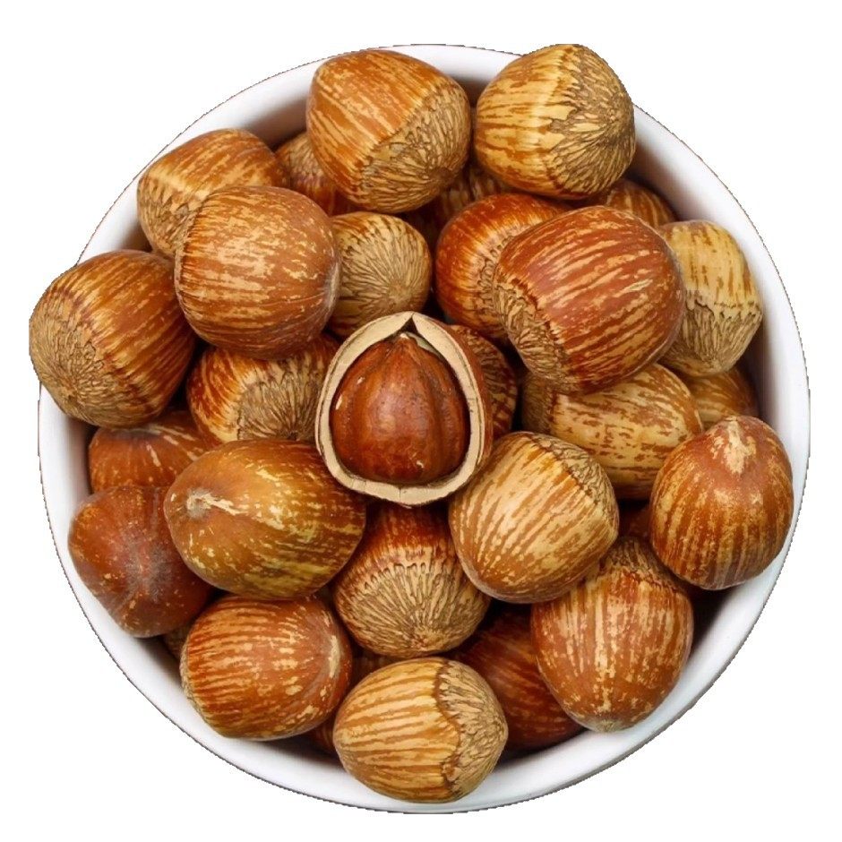 Net Weight Northeast Wild Hazelnuts New Arrival Bagged Original Thin-Skinned Nut Snacks for Pregnant Women Wholesale Price Licheng Specialty Hazelnuts