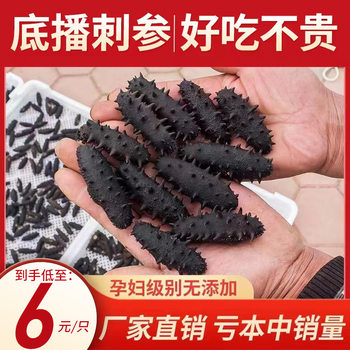Wholesale Deep-Sea Sea Cucumber in Bulk for Home Use, Gift Boxes Available for Commercial Use, Direct Supply from Dalian, Bottom-Cultured, Non-Dried Sea Cucumber