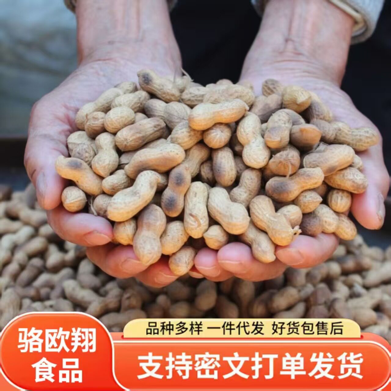 Rural Iron Pot Firewood Peanuts with Shells, Original Red-Skinned Peanuts, Unsalted Snacks, Wine Dishes, Small Pearl Firewood Peanuts