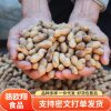 Rural Iron Pot Firewood Peanuts with Shells, Original Red-Skinned Peanuts, Unsalted Snacks, Wine Dishes, Small Pearl Firewood Peanuts