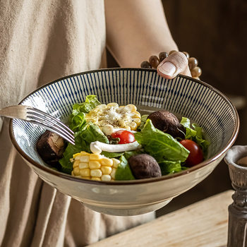 Retro and practical tableware set series household noodle bowl open bowl salad plate Japanese line dish