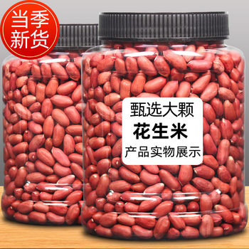 Fresh Red-Skinned Raw Peanuts with Shells, Sun-Dried Red-Skinned Kernels, Freshly Fried and Cooked Original Peanuts Snacks Wholesale Xz