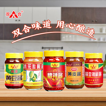 320g Sauce Collection: Double Fermented Spicy Sauce, Ice Flower Sour Plum Sauce, Duck Sauce, Chili Sauce, Bbq Sauce, Noodle Seasoning