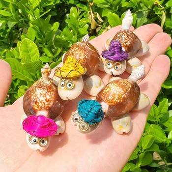 Straw hat tortoise little doctor natural shell conch decorative ornaments fish tank platform handicrafts micro landscape landscaping