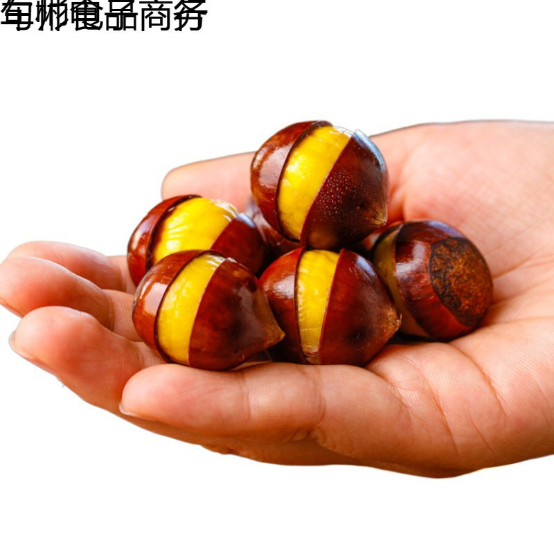 Fujian Jianou Specialty Cone Chestnut Raw Fresh Oil Chestnut Mountain Farm Freshly Picked Hazelnut Sugar Fried Chestnut