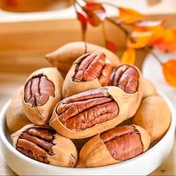 Wholesale Factory for Shipping Pecan Cream Flavor 500g Canned Longevity Fruit Bagged Nuts Dried Fruits Roasted Snacks