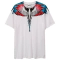 D41 blue red white white