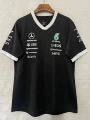 2026f1 mercedes black