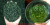 DDD fine-core hair tip 2026 новая серия tea Yuxin tip extra-fine core-экономичный, с сильным каштановым ароматом, очень тонкий кончик для волос.