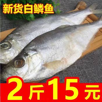 New Arrival White Scale Fish Salty Fermented Fish 60% Dried Salted Fish Seafood Salted Fish 500G-1000G Cao White Fish