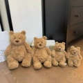 Barcelona bear 28cm