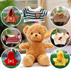 Bear doll replacement sweater 30cm teddy bear doll sweater plush toy clothes accessories doll clothes wholesale