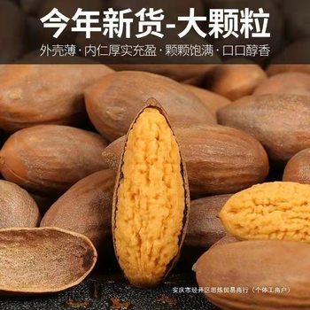 New Arrival of Torreya Seeds 2025 Zhuji Specialty Fengqiao Torreya Nuts Dried Fruit Snacks Large Seed Old Tree Torreya with Packaging