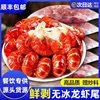 Freshly Frozen Large Lobster Tails, Fresh and Spicy, Headless, No Ice, for Catering, Commercial Wholesale, Hot Pot Ingredients, Crayfish