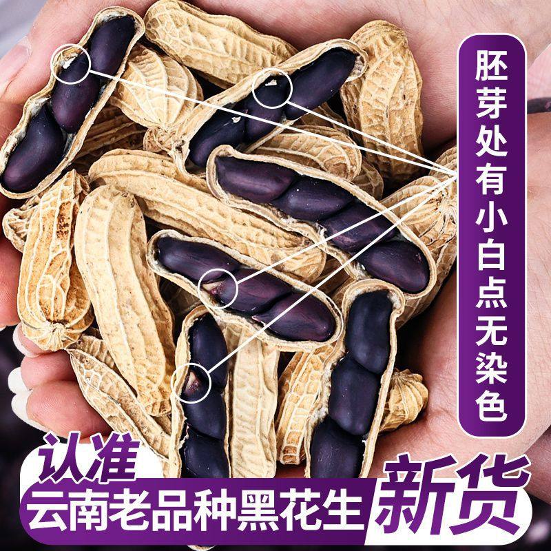 Wholesale Dropshipping of New Colorful Peanuts from Yunnan, Yunnan Pu'Er Colorful Sun-Dried Shelled Cooked Peanuts, Black Peanut Snacks