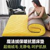 Fale Velvet Mattress Thickeneded Tatami Sponge Mat Single and Double Dormitory Mat Bedding Memory Foam Mat Floor Covering