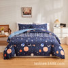 Cross-border Foreign Trade Source US UK Size Amazon Printed Luminous Series Quilt Cover Pillowcase Bedding Three Sets