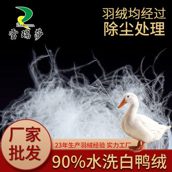 Down Sleeping Bag Filling Wholesale New National Standard 90 Pure White Duck down Quilt Filling Raw Material Bulk Retail down