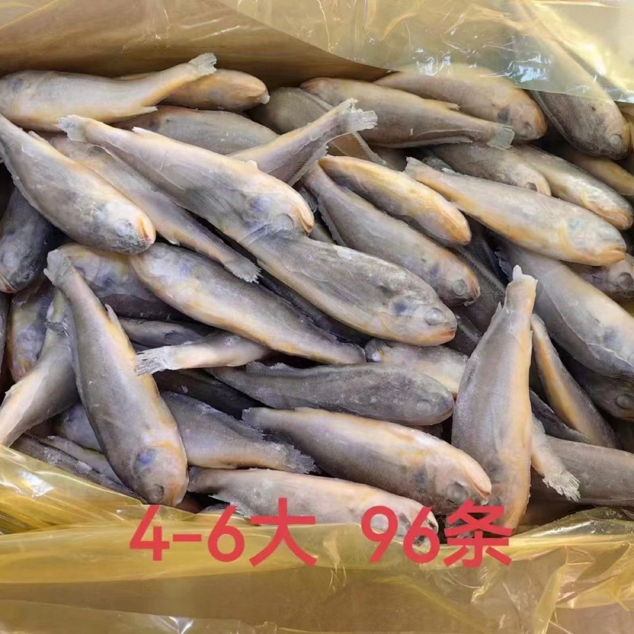 Frozen Yellow Croaker from the East China Sea, Small Yellow Croaker, Single-Frozen, Whole Box, Net Weight 6kg Grams, Defrosted 4kg Grams, for Barbecue, Commercial Wholesale