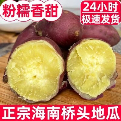 Hainan Chengmai Qiaotou Sweet Potato 3/5/ 4.5kg Fresh Sweet Potato Origin Freshly Released Sand Floor Chestnut Sweet Potato Drop Shipping