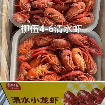 Liwoo Clear Water Crayfish Fresh Commercial Large Size Heated Ready-To-Eat Catering Commercial 1kg*10 Boxes