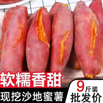 Fresh Sandy Sweet Potatoes, Super Sweet Sugar Heart Chestnuts, Sugar Heart Sweet Potatoes, Sweet Yellow Heart Honey Potatoes, Rich in Nutrients