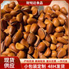 Fresh Northeastern Pine Nuts from the Manufacturer, Ready-To-Eat, Large Kernels, Hand-Peeled, Snacks, Nuts, Roasted Seeds and Nuts, Bulk Packaging