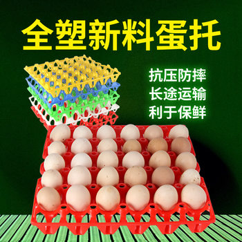 Various Specifications of Incubator, Brooding Egg Tray, Rutin, Chicken, Pigeon, Quail, Small Duck and Goose, Medium Size 30 Transport Egg Tray