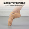 Wuyuan Wangjun 101076 Elastic Fabric Dance Shoes Ballet Shoes Four-Way Stretch Soft and Comfortable Skin-Colored Cat Paw Shoes