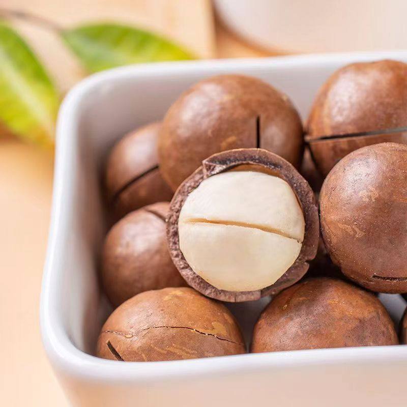 Macadamia Nut Manufacturer Delivers Creamy 500g Thin-Skinned Walnut Opening Snacks Macadamia Nuts Wholesale Spot