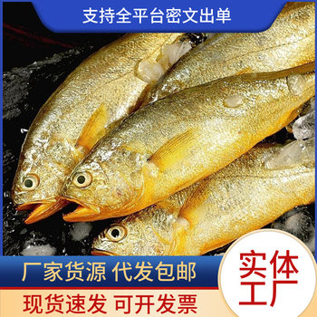 Small yellow croaker fresh frozen barbecue small yellow croaker fresh live sea fish seafood whole box commercial wholesale shunfeng postage