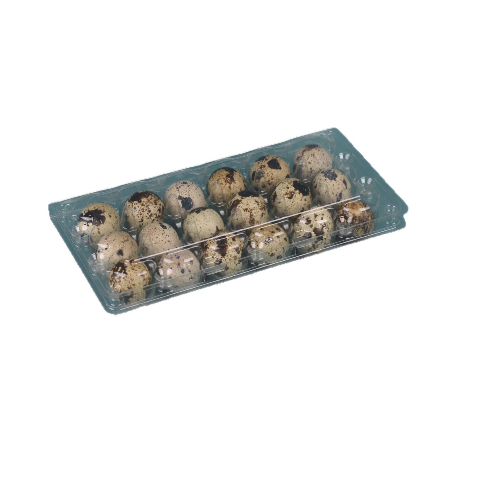 Plastic Quail Egg Tray 18 Pieces Disposable Transparent Quail Egg Packaging Box Wholesale Shock-Proof Multi-Specification Quail Box