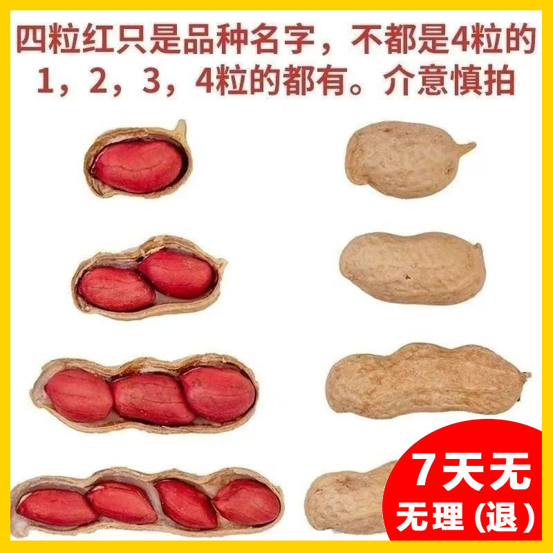 New Northeast Red Skin Peanuts [Raw] Peanuts Red Skin Peanuts Wholesale Hot Selling Aliexpress Dropshipping
