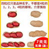 New Northeast Red Skin Peanuts [Raw] Peanuts Red Skin Peanuts Wholesale Hot Selling Aliexpress Dropshipping