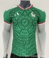 2006 mexico home game