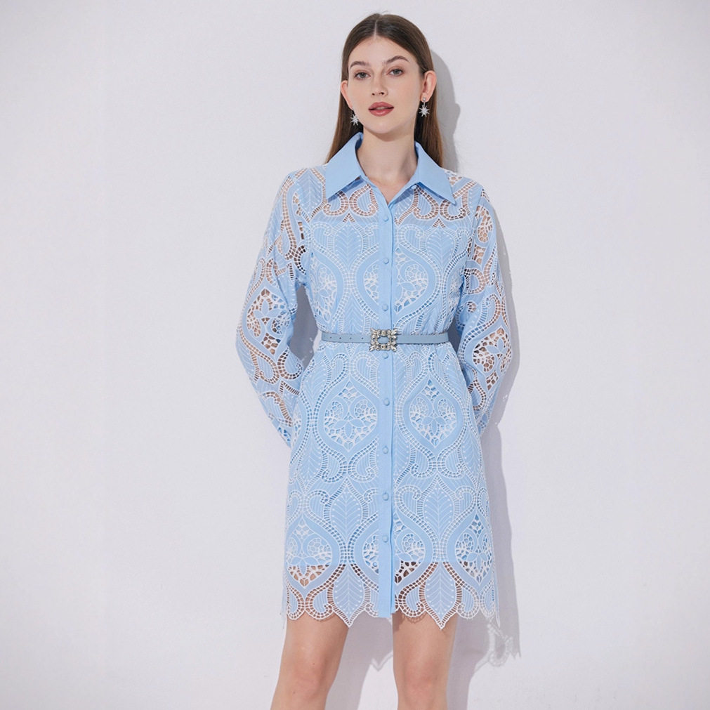 French Style Elegant Embroidered Lace A Line Dress Hollow Out Waist Defined Single Breasted Perfect for Spring Summer